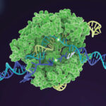 CRISPR-Cas9 Advancements: Navigating Breakthroughs and Controversies in Gene Editing Technology