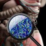 Gut-Brain Connection: Unveiling the Microbiome's Impact on Health