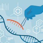 The Power of CRISPR: Gene Editing and Its Ethical Implications