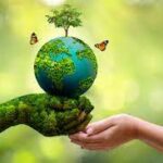 Nurturing Our Home: A Call to Action for the Environment