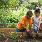 Embracing Nature: Gardening and Outdoor Activities for a Healthier Lifestyle