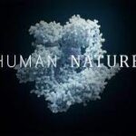 Understanding Human Nature: Exploring the Depths of Our Behavior and Emotions